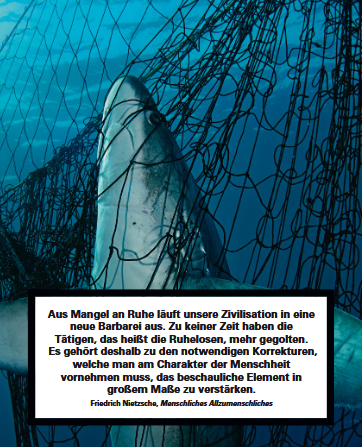 Vom stillen Geschrei