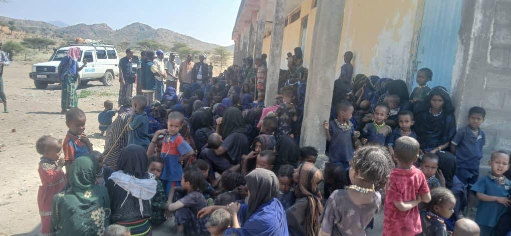 Die verdammten Kriege