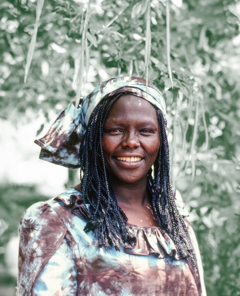 Der kleine Kolibri von Wangari Maathai erzählt